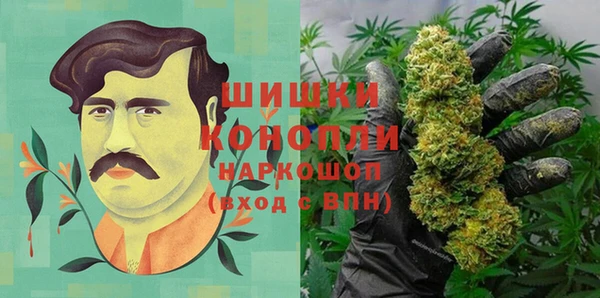 ПСИЛОЦИБИНОВЫЕ ГРИБЫ Мегион