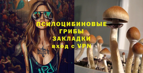 ПСИЛОЦИБИНОВЫЕ ГРИБЫ Мегион