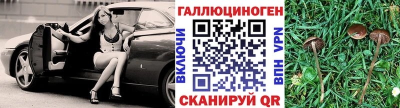 Купить где  Петров Вал  Псилоцибиновые грибы Magic Shrooms 